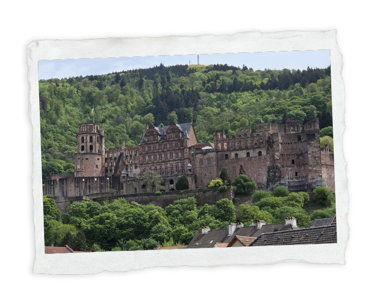 heidelberg-hero-img